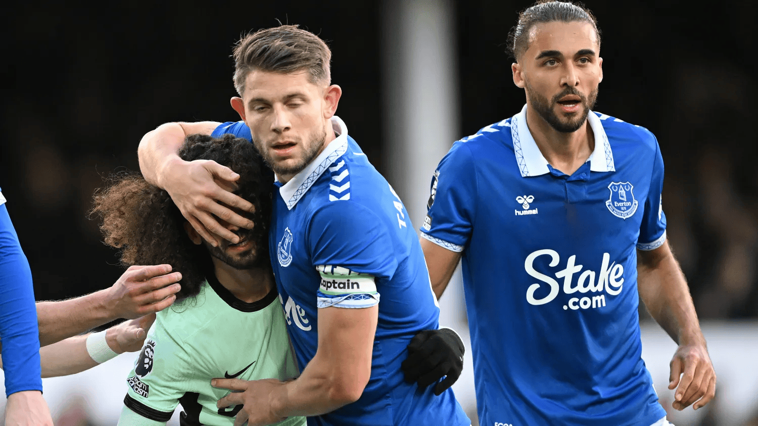 继续由视频, msn 继续由视频, msn