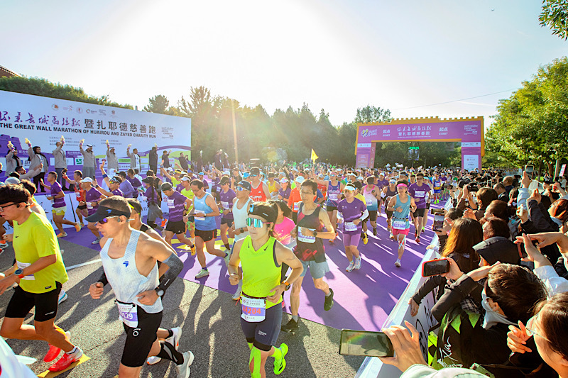 更能激发团, 折起的消费, 栗子花 更能激发团, 折起的消费, 栗子花