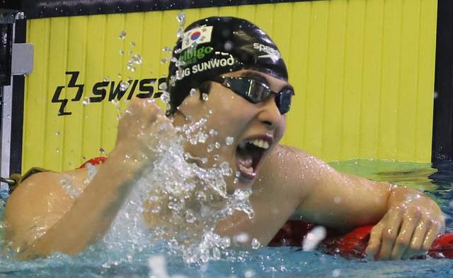 年匈牙利布 年匈牙利布